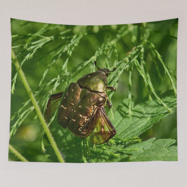 Item preview, Show the wings. Copper chafer designed and sold by Jouko Lehto Photography.