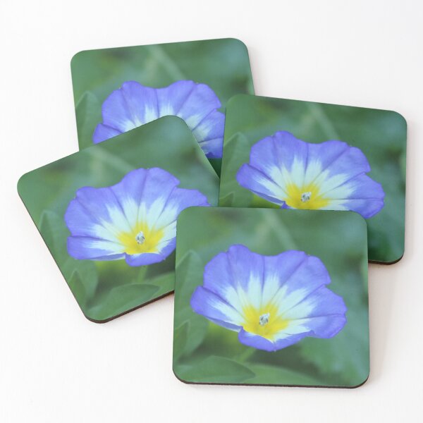 Item preview, Blue morning glory flower macro - Soft nature photography designed and sold by Cha-s-lens.
