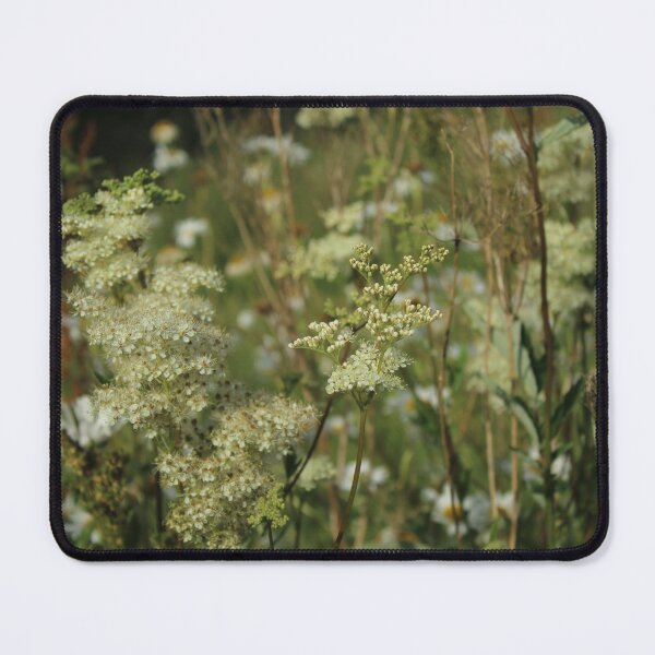 Item preview, Summer wildflower meadow - Soft nature photography designed and sold by Cha-s-lens.