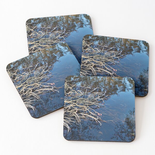 Item preview, Root Splay designed and sold by Eidetic Photos.