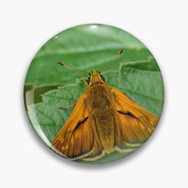 Item preview, Skipper of the woodlands. Large skipper designed and sold by Jouko Lehto Photography.