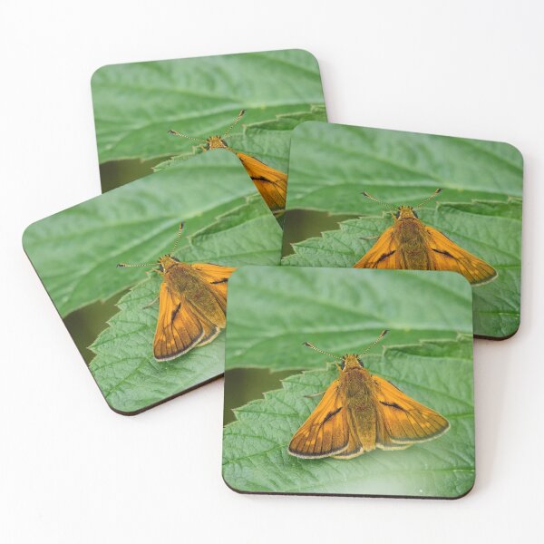 Item preview, Skipper of the woodlands. Large skipper designed and sold by Jouko Lehto Photography.