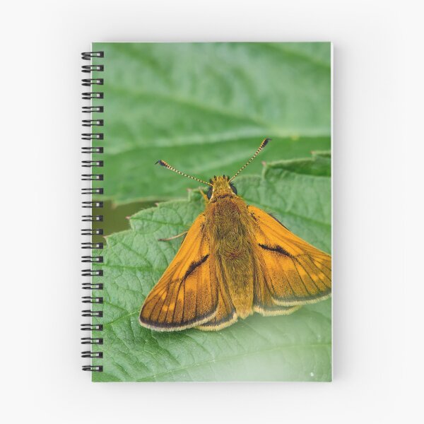 Item preview, Skipper of the woodlands. Large skipper designed and sold by Jouko Lehto Photography.
