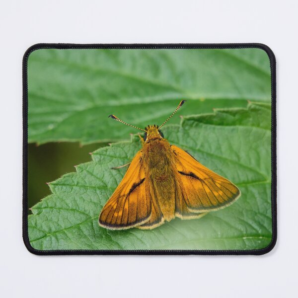 Item preview, Skipper of the woodlands. Large skipper designed and sold by Jouko Lehto Photography.
