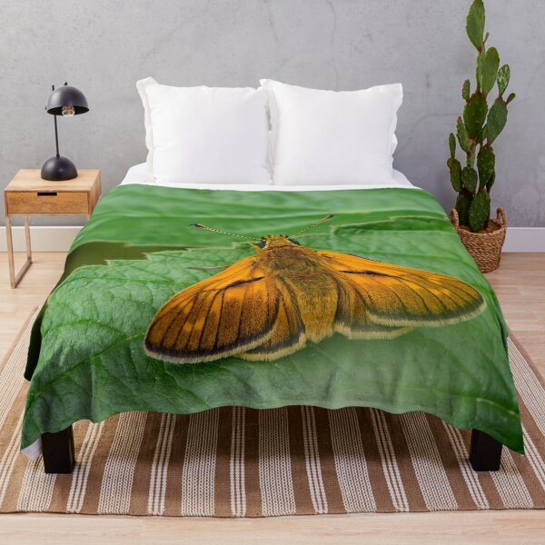Item preview, Skipper of the woodlands. Large skipper designed and sold by Jouko Lehto Photography.