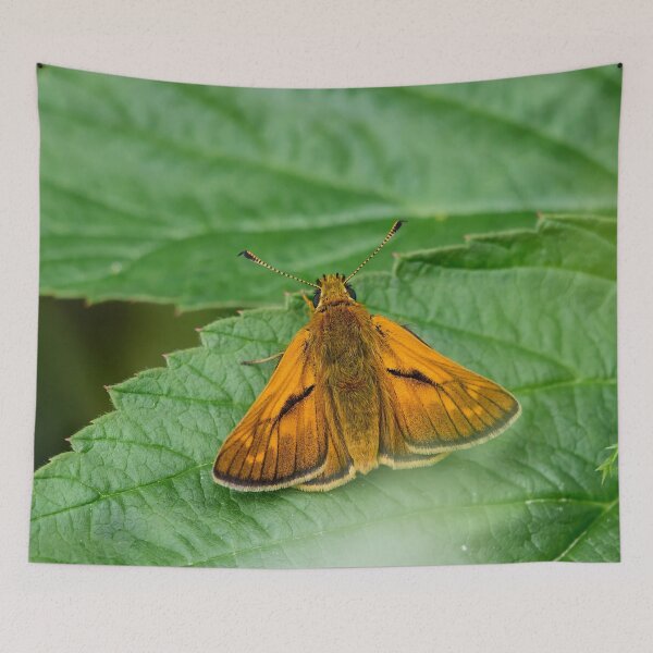 Item preview, Skipper of the woodlands. Large skipper designed and sold by Jouko Lehto Photography.