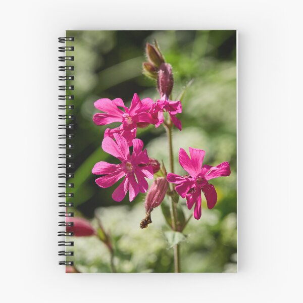 Item preview, Overtime. Red Campion designed and sold by Jouko Lehto Photography.
