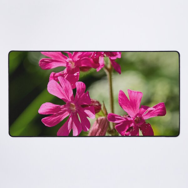 Item preview, Overtime. Red Campion designed and sold by Jouko Lehto Photography.