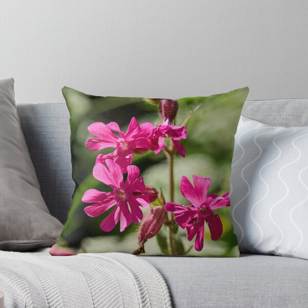Item preview, Overtime. Red Campion designed and sold by Jouko Lehto Photography.