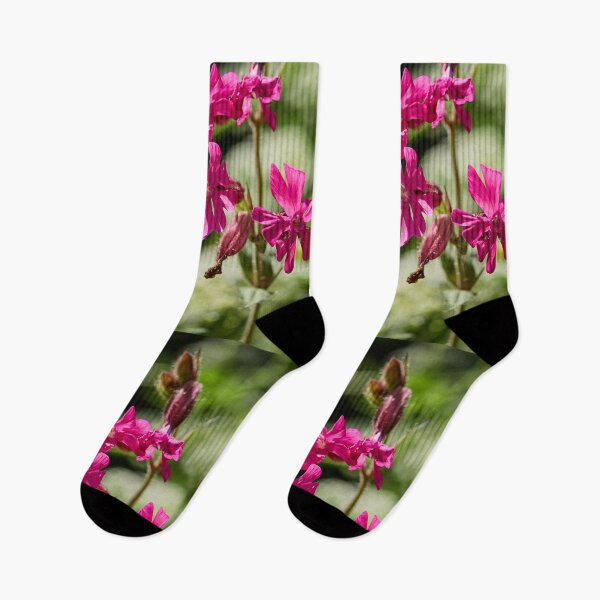 Item preview, Overtime. Red Campion designed and sold by Jouko Lehto Photography.