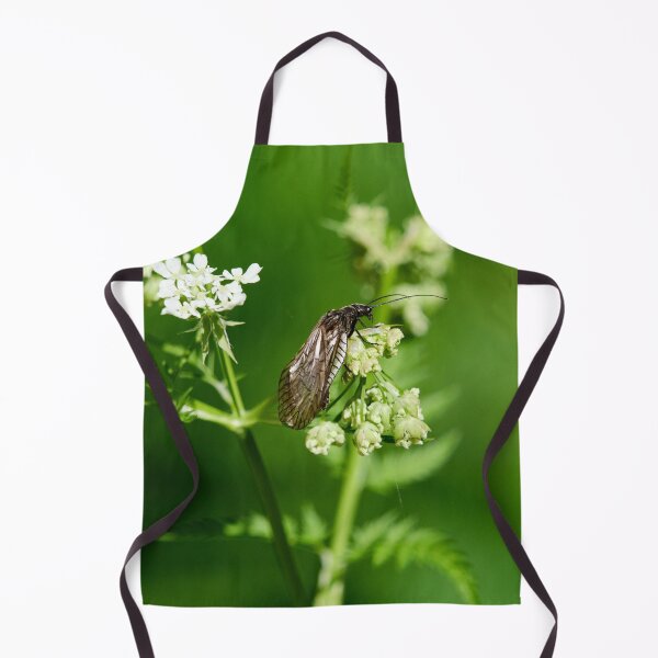 Item preview, Sialis. Alder Fly designed and sold by Jouko Lehto Photography.