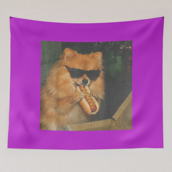 Item preview, Pomeranian Dog Eating Hot Dog Funny Dog Meme designed and sold by melodycook.
