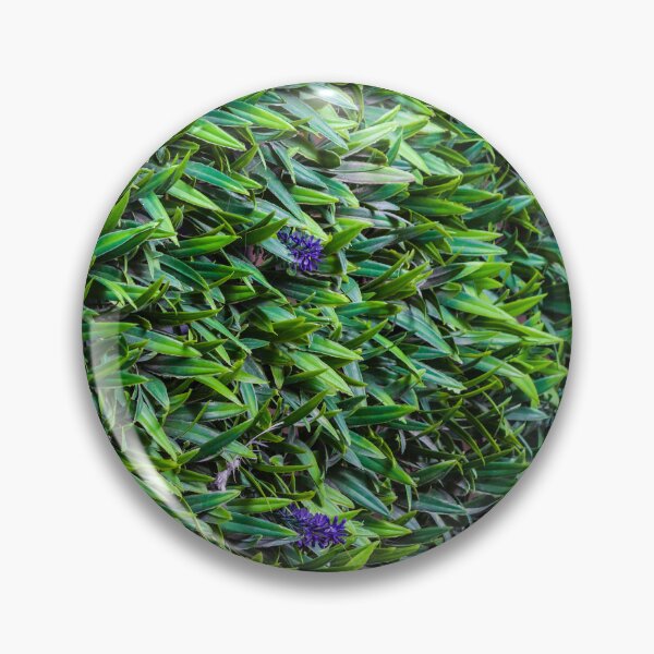 Item preview, Dense Green Groundcover Foliage With Small Purple Flowers And Textured Leaf Pattern designed and sold by Nmallia.