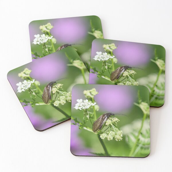 Item preview, What to do with these flowers anyway. Alder Fly designed and sold by Jouko Lehto Photography.