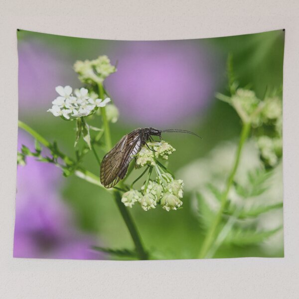 Item preview, What to do with these flowers anyway. Alder Fly designed and sold by Jouko Lehto Photography.