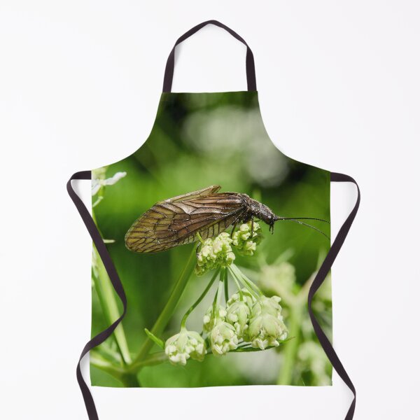 Item preview, What cow parsley. Alder Fly designed and sold by Jouko Lehto Photography.