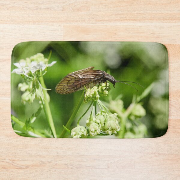 Item preview, What cow parsley. Alder Fly designed and sold by Jouko Lehto Photography.