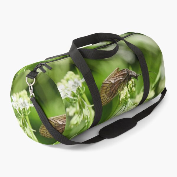 Item preview, What cow parsley. Alder Fly designed and sold by Jouko Lehto Photography.
