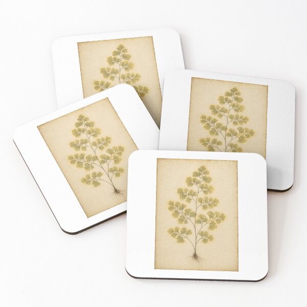 Item preview, Maidenhair Fern Herbarium | Victorian Botanical Fern Art | Fern Collector Gift designed and sold by Brackenlume Studio.