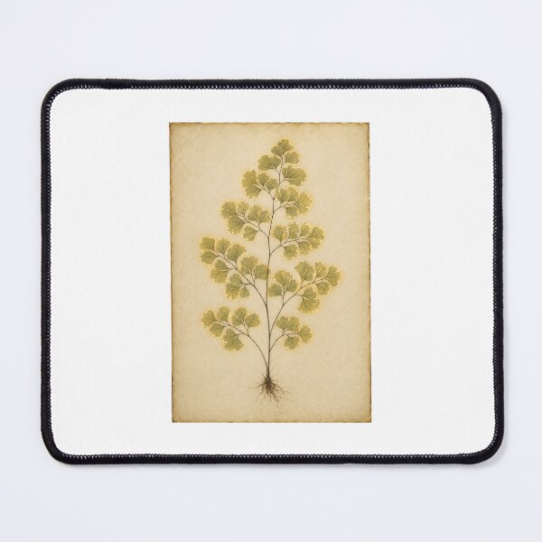 Item preview, Maidenhair Fern Herbarium | Victorian Botanical Fern Art | Fern Collector Gift designed and sold by Brackenlume Studio.