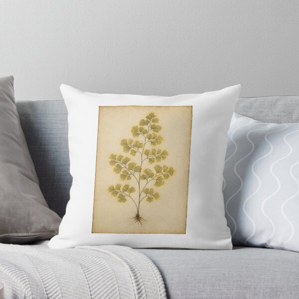 Item preview, Maidenhair Fern Herbarium | Victorian Botanical Fern Art | Fern Collector Gift designed and sold by Brackenlume Studio.