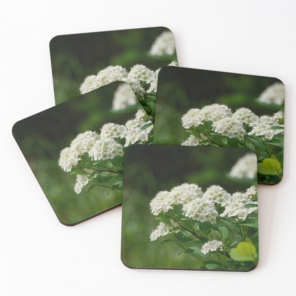 Item preview, Flowers. Birchleaf Spirea designed and sold by Jouko Lehto Photography.