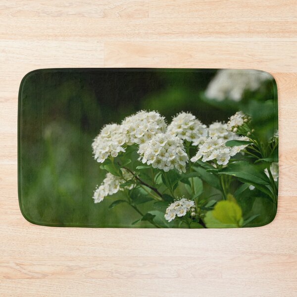 Item preview, Flowers. Birchleaf Spirea designed and sold by Jouko Lehto Photography.