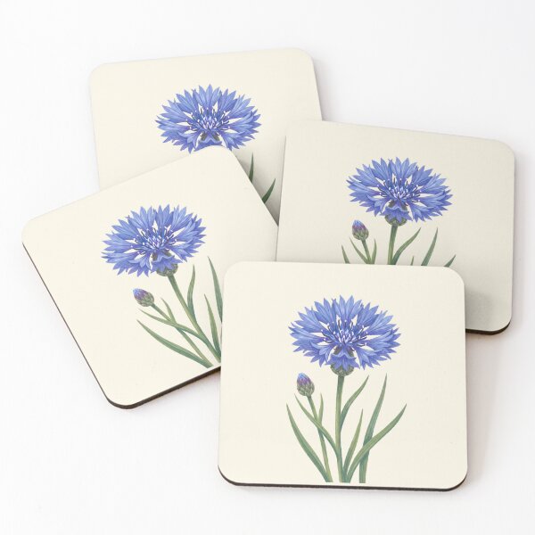 Item preview, Vintage Blue Cornflower Botanical Illustration Art designed and sold by Pasteltone.