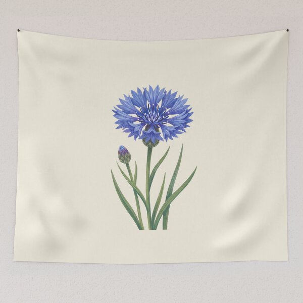 Item preview, Vintage Blue Cornflower Botanical Illustration Art designed and sold by Pasteltone.