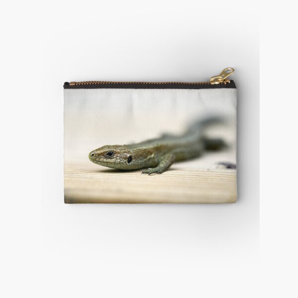 Item preview, Sharp eye. Viviparous lizard designed and sold by Jouko Lehto Photography.