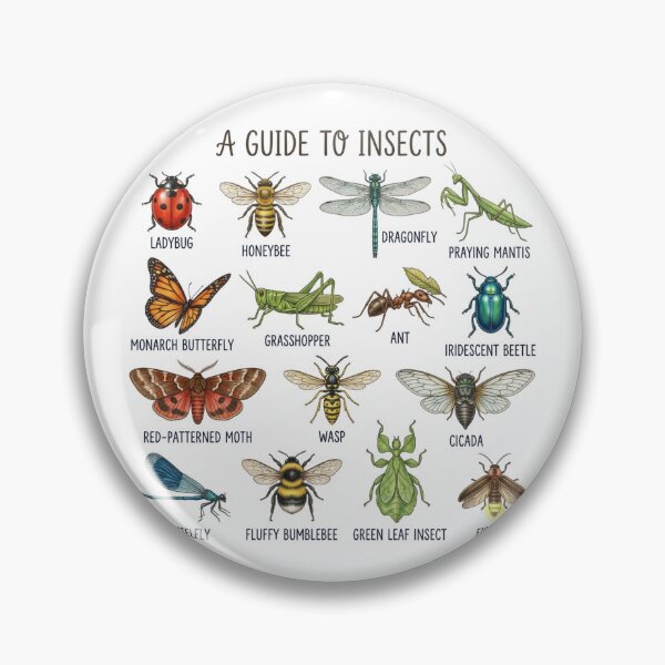 Item preview, A Guide To Insects Vintage Educational Chart Bug Lovers designed and sold by raedattia.