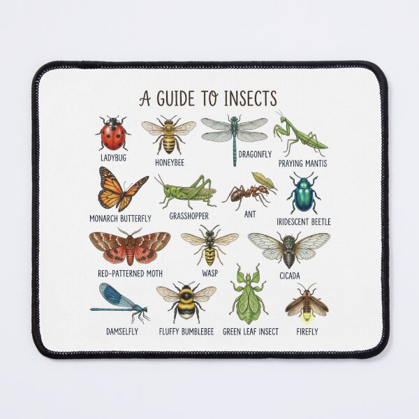 Item preview, A Guide To Insects Vintage Educational Chart Bug Lovers designed and sold by raedattia.