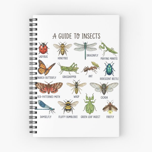 Item preview, A Guide To Insects Vintage Educational Chart Bug Lovers designed and sold by raedattia.