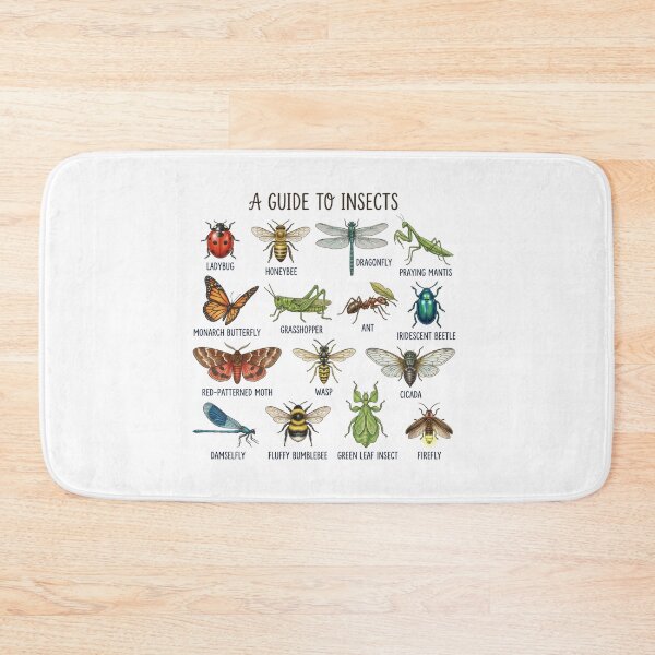 Item preview, A Guide To Insects Vintage Educational Chart Bug Lovers designed and sold by raedattia.