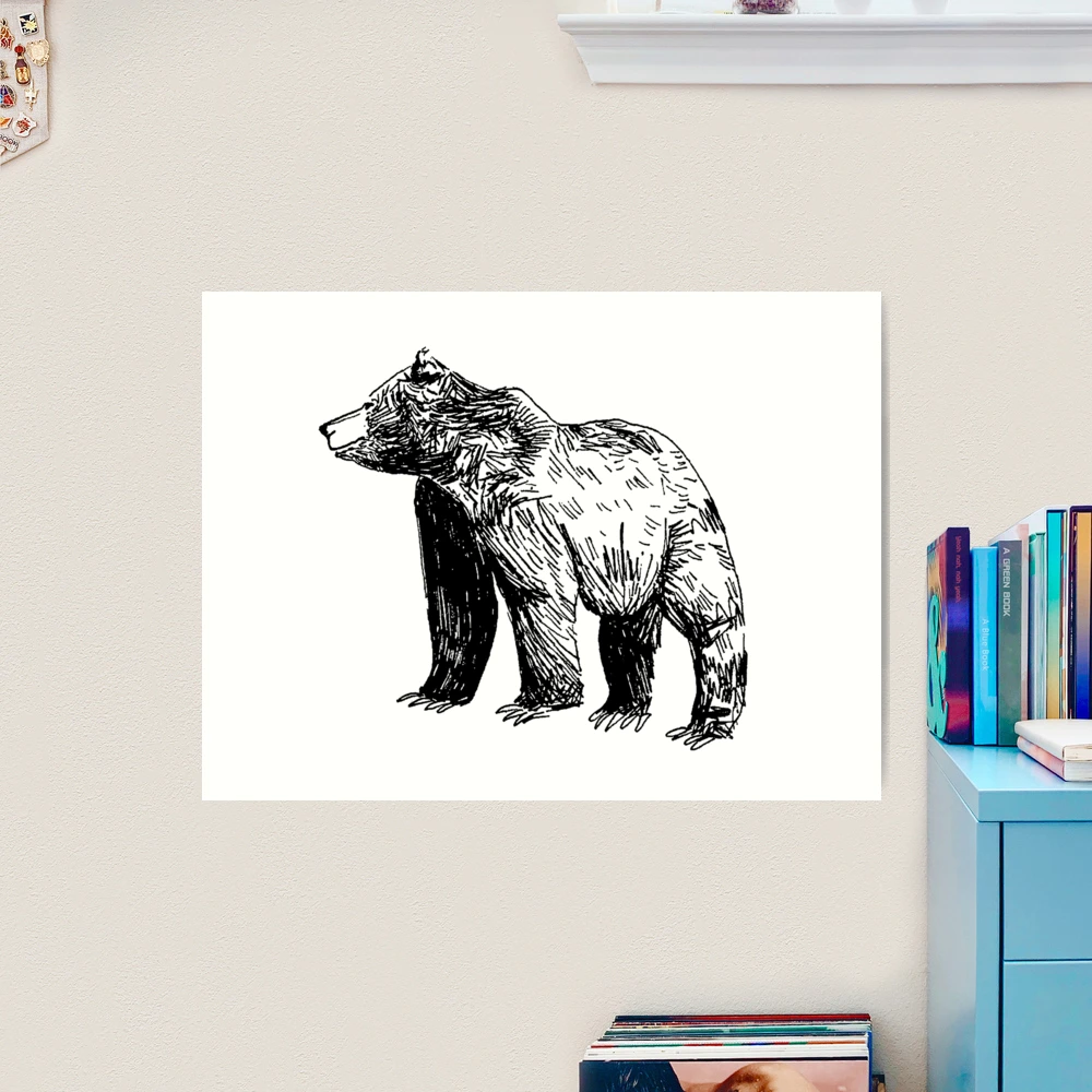 Bear Drawing, Wildlife Artwork, Hand Drawn Illustration, 5x7, Graphite  Grizzly Bear Art