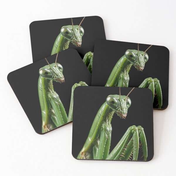 Item preview, The Green Praying Mantis designed and sold by VoidVeilStudio.