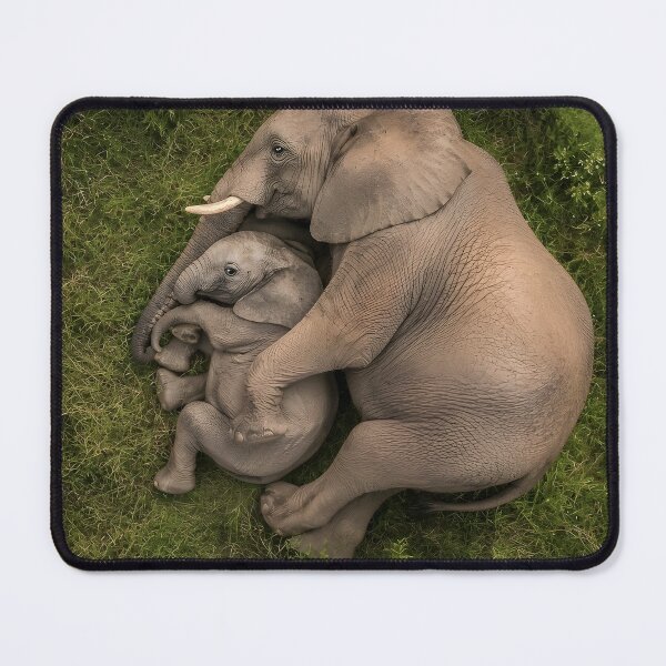 Item preview, Elephant mother with baby in the green forest designed and sold by Fotografin1981.