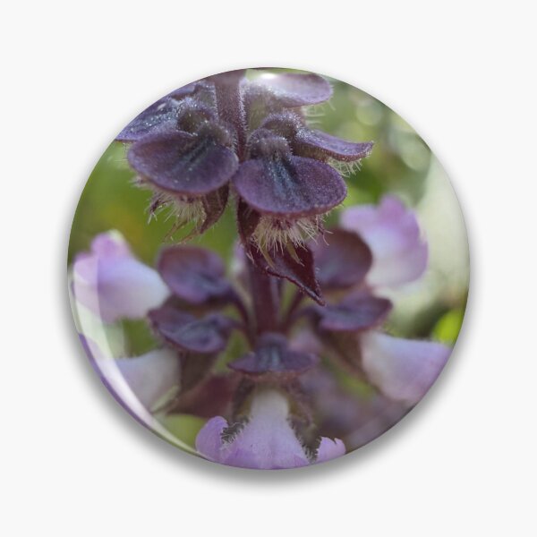 Item preview, Born of Soft Gardens designed and sold by PetalWhisperer.
