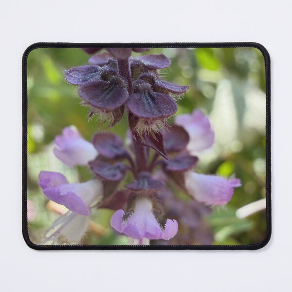 Item preview, Born of Soft Gardens designed and sold by PetalWhisperer.