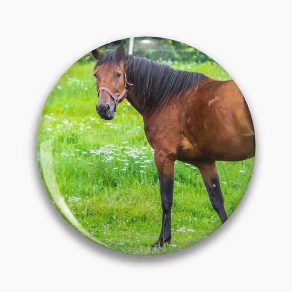 Item preview, Graceful Horse Portrait designed and sold by NorthWild.