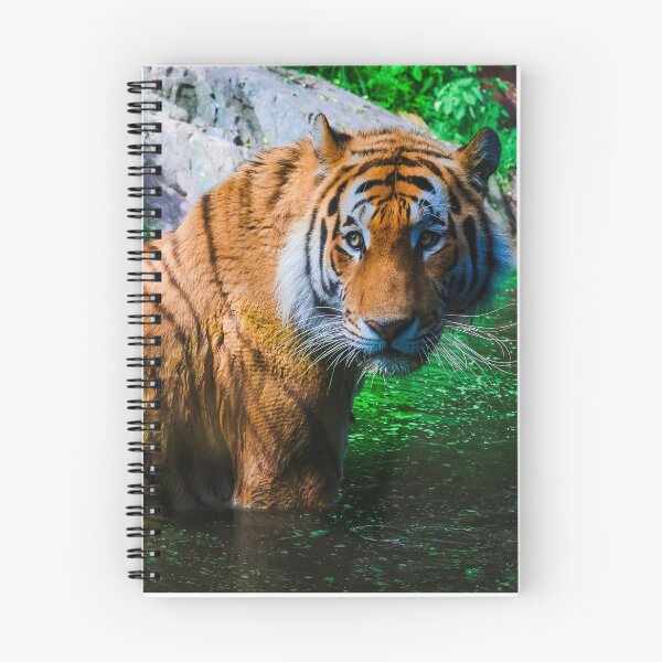 Item preview, Amur Tiger Portrait designed and sold by NorthWild.