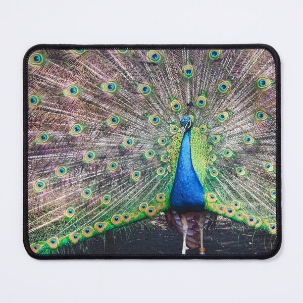 Item preview, Majestic Peacock Portrait designed and sold by NorthWild.