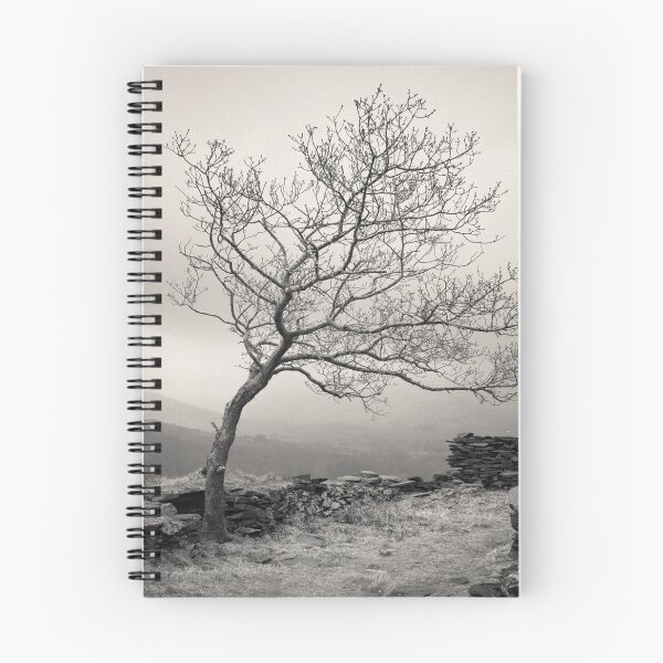 Item preview, Dinorwic Quarry Tree designed and sold by David Bowman.