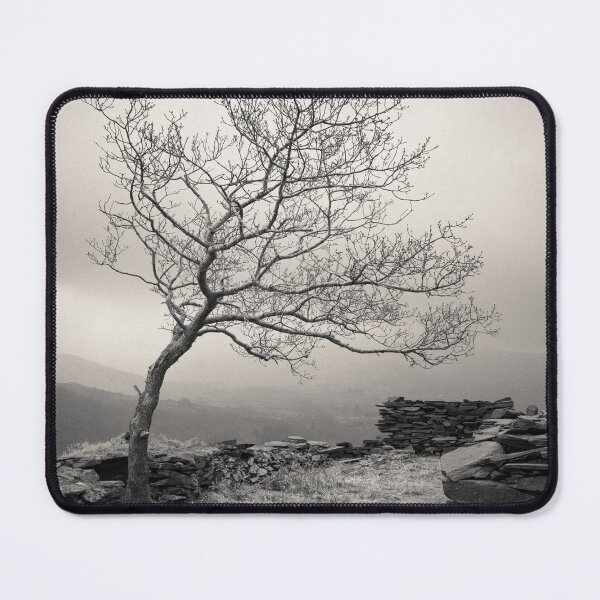 Item preview, Dinorwic Quarry Tree designed and sold by David Bowman.