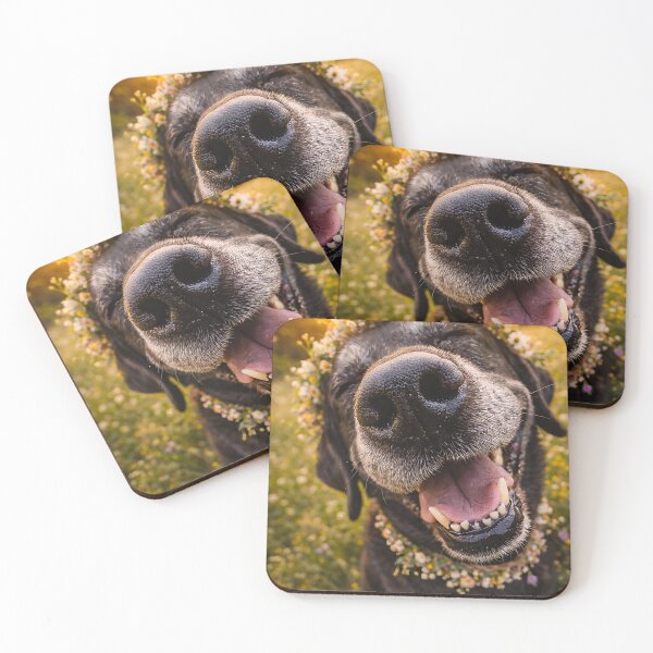 Item preview, Happy dog with flower wreath at sunset designed and sold by Fotografin1981.