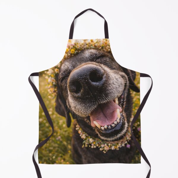 Item preview, Happy dog with flower wreath at sunset designed and sold by Fotografin1981.