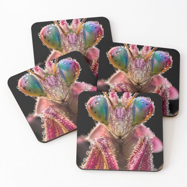 Item preview, Pink praying mantis macro with water droplets designed and sold by Fotografin1981.