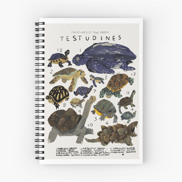 Item preview, Creatures of the Order Testudines – Illustrated Turtle and Tortoise Chart ?? designed and sold by WATEKE.
