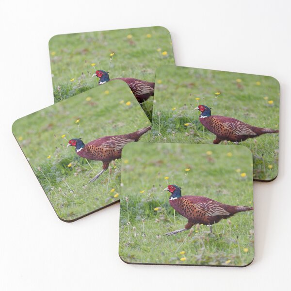 Item preview, A Welsh Pheasant, Gower designed and sold by TomRomanPhotos.