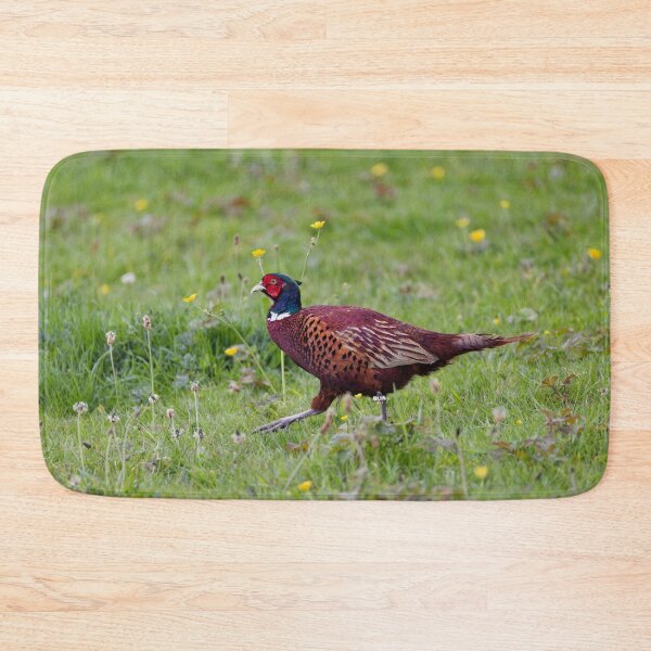 Item preview, A Welsh Pheasant, Gower designed and sold by TomRomanPhotos.